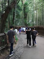 添付画像
